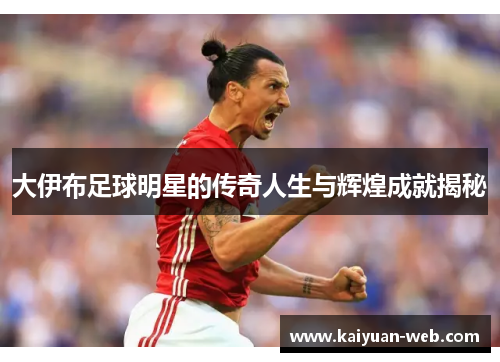 大伊布足球明星的传奇人生与辉煌成就揭秘